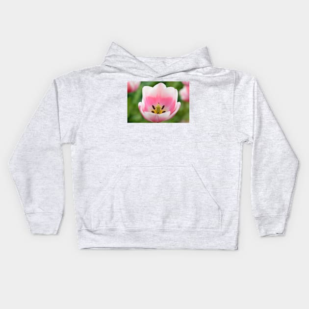 Tulipa  &#39;Valentine&#39;   Triumph Group  Tulip Kids Hoodie by chrisburrows